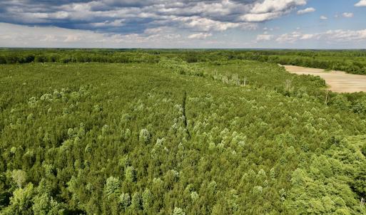 Photo #53 of SOLD property in Off Warrenton Embro Rd, Macon, NC 149.8 acres
