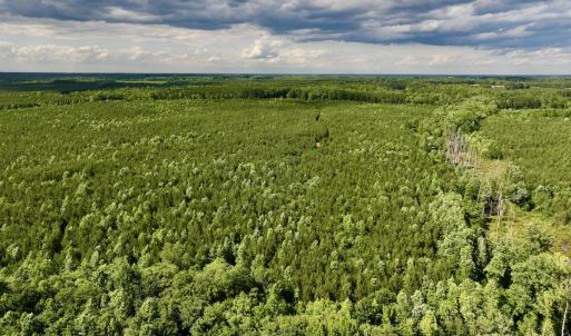Photo #54 of SOLD property in Off Warrenton Embro Rd, Macon, NC 149.8 acres