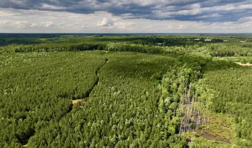 Photo #55 of SOLD property in Off Warrenton Embro Rd, Macon, NC 149.8 acres