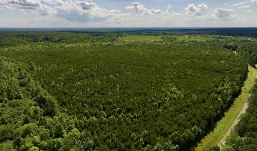 Photo #56 of SOLD property in Off Warrenton Embro Rd, Macon, NC 149.8 acres