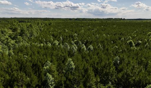 Photo #58 of SOLD property in Off Warrenton Embro Rd, Macon, NC 149.8 acres