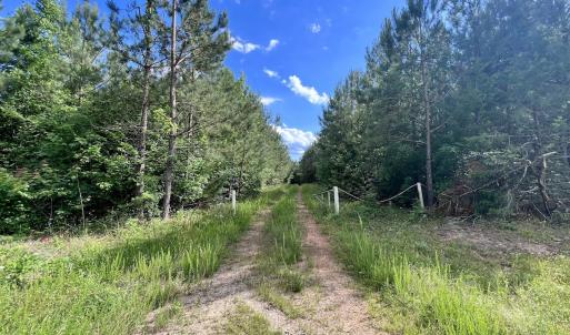 Photo #61 of SOLD property in Off Warrenton Embro Rd, Macon, NC 149.8 acres