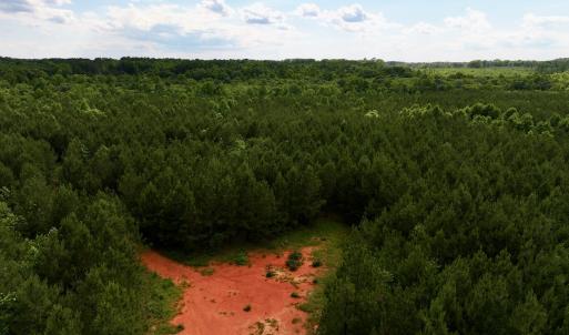 Photo #70 of SOLD property in Off Warrenton Embro Rd, Macon, NC 149.8 acres