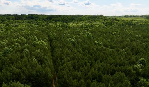Photo #71 of SOLD property in Off Warrenton Embro Rd, Macon, NC 149.8 acres