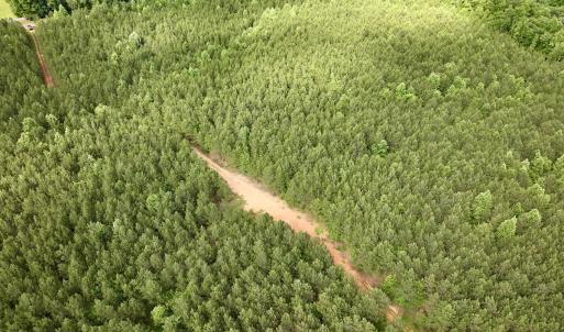 Photo #75 of SOLD property in Off Warrenton Embro Rd, Macon, NC 149.8 acres