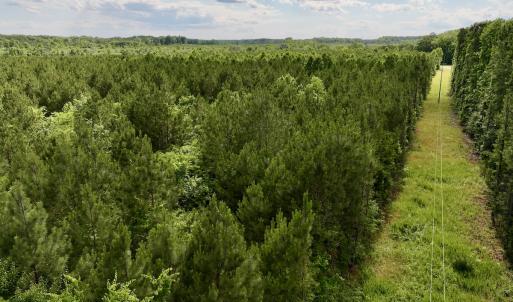 Photo #77 of SOLD property in Off Warrenton Embro Rd, Macon, NC 149.8 acres