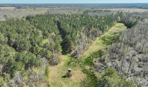 Photo #13 of SOLD property in 368 Soundside Rd, Columbia, NC 280.0 acres