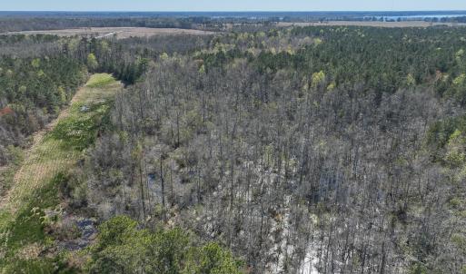 Photo #15 of SOLD property in 368 Soundside Rd, Columbia, NC 280.0 acres