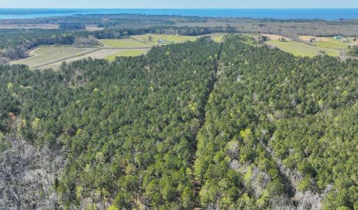 Photo #16 of SOLD property in 368 Soundside Rd, Columbia, NC 280.0 acres
