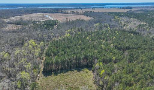 Photo #17 of SOLD property in 368 Soundside Rd, Columbia, NC 280.0 acres
