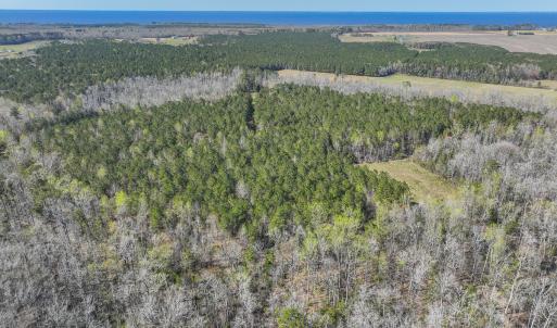 Photo #18 of SOLD property in 368 Soundside Rd, Columbia, NC 280.0 acres
