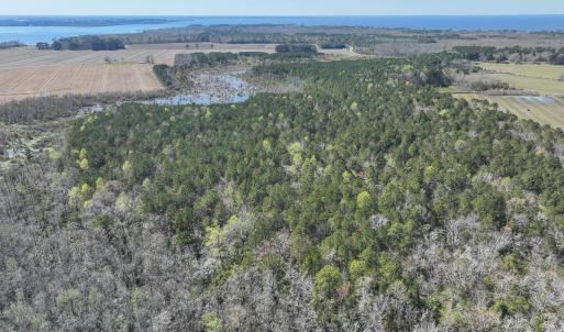 Photo #19 of SOLD property in 368 Soundside Rd, Columbia, NC 280.0 acres