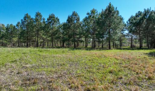 Photo #20 of SOLD property in 368 Soundside Rd, Columbia, NC 280.0 acres