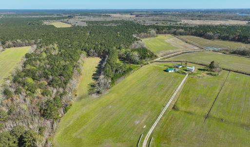 Photo #6 of SOLD property in 368 Soundside Rd, Columbia, NC 280.0 acres
