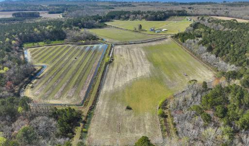 Photo #9 of SOLD property in 368 Soundside Rd, Columbia, NC 280.0 acres