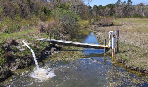 Photo #21 of SOLD property in 368 Soundside Rd, Columbia, NC 280.0 acres
