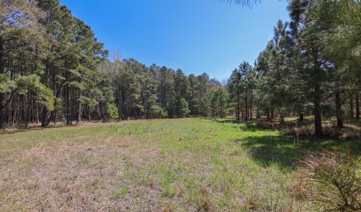 Photo #24 of SOLD property in 368 Soundside Rd, Columbia, NC 280.0 acres