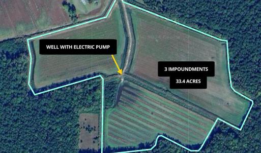 Photo #47 of SOLD property in 368 Soundside Rd, Columbia, NC 280.0 acres
