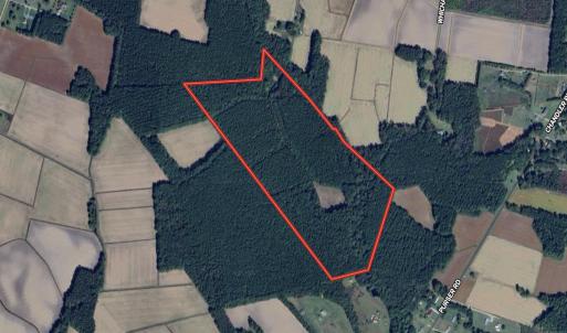 Photo #1 of SOLD property in Off Wilcox Ln, Vanceboro, NC 57.8 acres