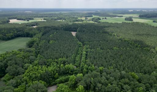 Photo #2 of SOLD property in Off Wilcox Ln, Vanceboro, NC 57.8 acres
