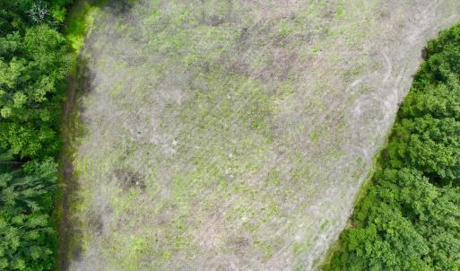 Photo #12 of SOLD property in Off Wilcox Ln, Vanceboro, NC 57.8 acres
