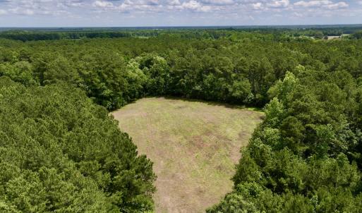 Photo #13 of SOLD property in Off Wilcox Ln, Vanceboro, NC 57.8 acres