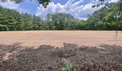 Photo #14 of SOLD property in Off Wilcox Ln, Vanceboro, NC 57.8 acres