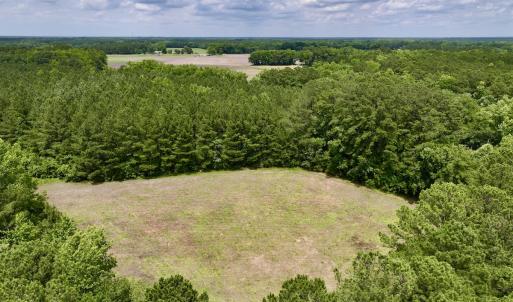 Photo #15 of SOLD property in Off Wilcox Ln, Vanceboro, NC 57.8 acres