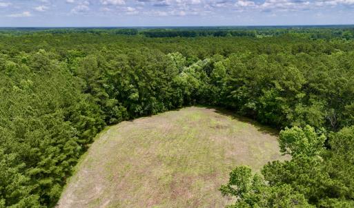 Photo #16 of SOLD property in Off Wilcox Ln, Vanceboro, NC 57.8 acres