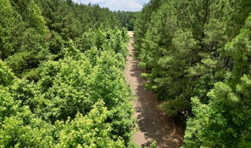 Photo #18 of SOLD property in Off Wilcox Ln, Vanceboro, NC 57.8 acres