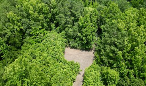 Photo #20 of SOLD property in Off Wilcox Ln, Vanceboro, NC 57.8 acres