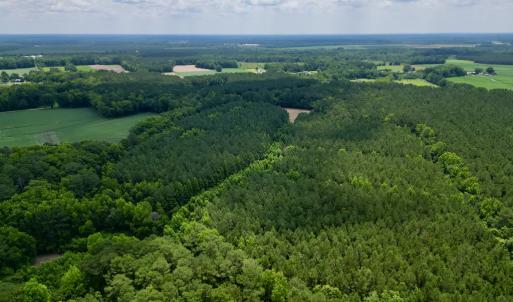Photo #3 of SOLD property in Off Wilcox Ln, Vanceboro, NC 57.8 acres