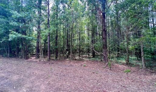 Photo #25 of SOLD property in Off Wilcox Ln, Vanceboro, NC 57.8 acres
