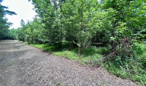Photo #26 of SOLD property in Off Wilcox Ln, Vanceboro, NC 57.8 acres