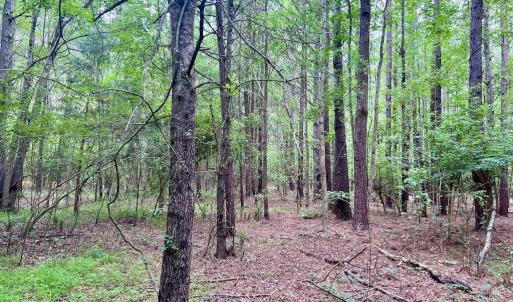 Photo #28 of SOLD property in Off Wilcox Ln, Vanceboro, NC 57.8 acres
