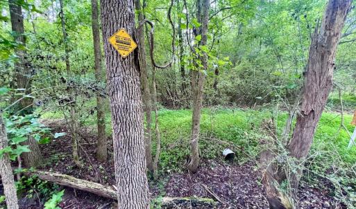 Photo #29 of SOLD property in Off Wilcox Ln, Vanceboro, NC 57.8 acres