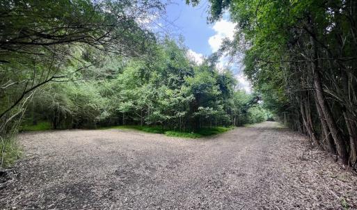Photo #30 of SOLD property in Off Wilcox Ln, Vanceboro, NC 57.8 acres
