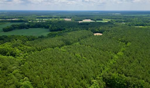 Photo #4 of SOLD property in Off Wilcox Ln, Vanceboro, NC 57.8 acres