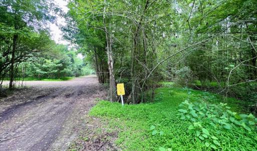 Photo #31 of SOLD property in Off Wilcox Ln, Vanceboro, NC 57.8 acres