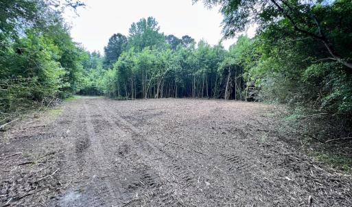 Photo #32 of SOLD property in Off Wilcox Ln, Vanceboro, NC 57.8 acres