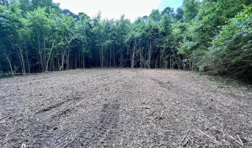 Photo #33 of SOLD property in Off Wilcox Ln, Vanceboro, NC 57.8 acres