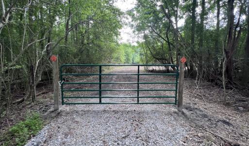 Photo #34 of SOLD property in Off Wilcox Ln, Vanceboro, NC 57.8 acres