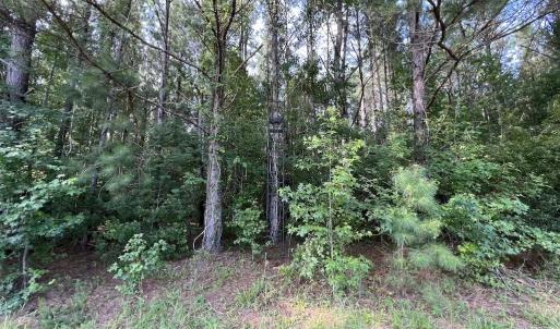 Photo #35 of SOLD property in Off Wilcox Ln, Vanceboro, NC 57.8 acres