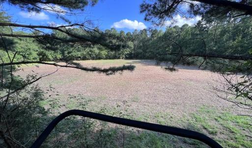 Photo #36 of SOLD property in Off Wilcox Ln, Vanceboro, NC 57.8 acres