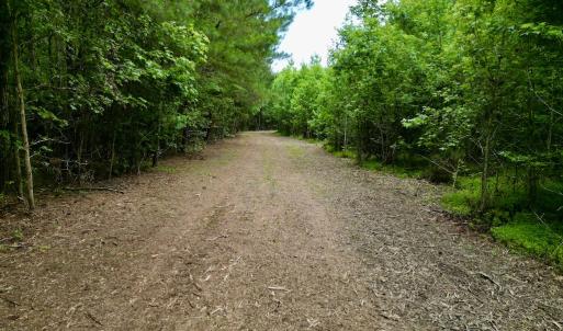 Photo #37 of SOLD property in Off Wilcox Ln, Vanceboro, NC 57.8 acres