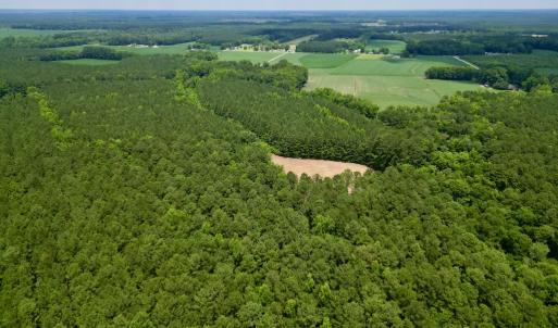 Photo #6 of SOLD property in Off Wilcox Ln, Vanceboro, NC 57.8 acres