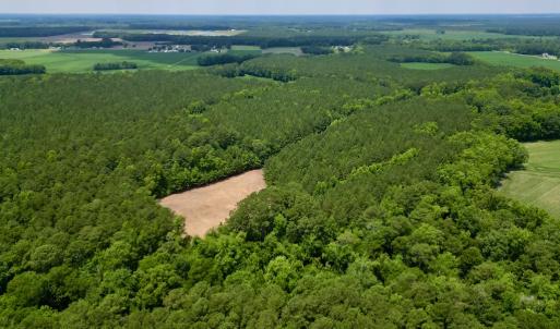 Photo #7 of SOLD property in Off Wilcox Ln, Vanceboro, NC 57.8 acres