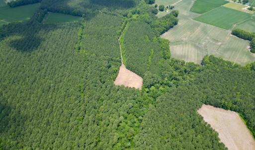 Photo #9 of SOLD property in Off Wilcox Ln, Vanceboro, NC 57.8 acres