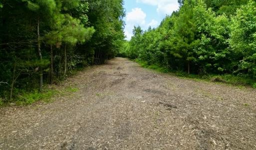 Photo #44 of SOLD property in Off Wilcox Ln, Vanceboro, NC 57.8 acres