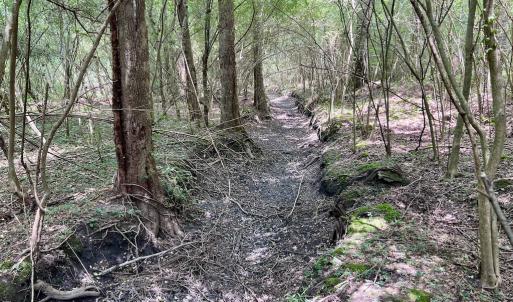 Photo #45 of SOLD property in Off Wilcox Ln, Vanceboro, NC 57.8 acres
